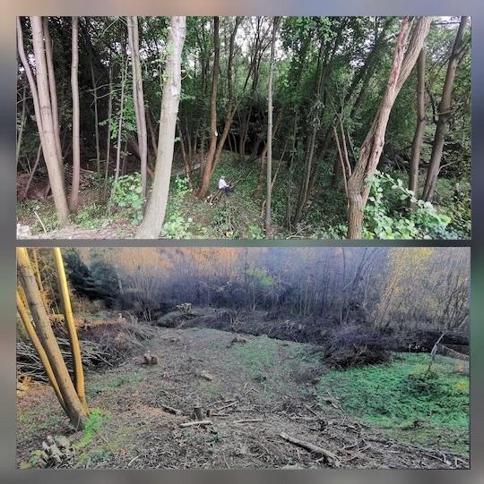 Przedstawienie efektów prac wycinkowych