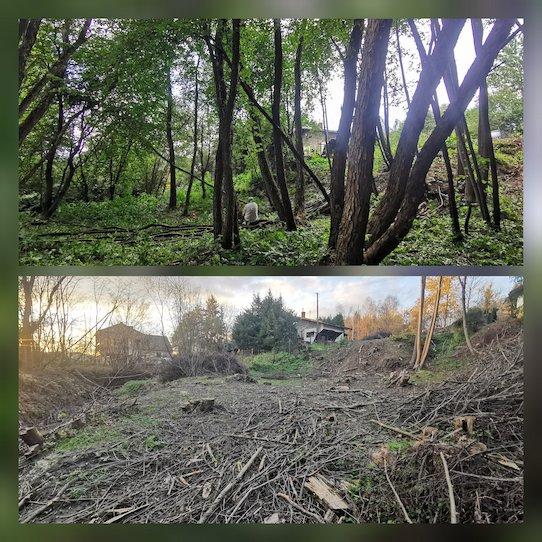 Przedstawienie efektów prac wycinkowych