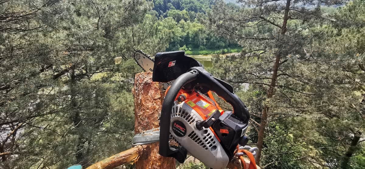 Zdjęcie piły motorowej opartej ściętą gałąź na tle krajobrazu