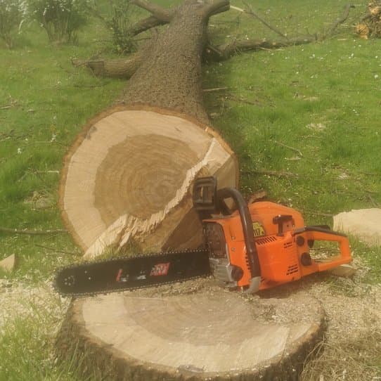 Przedstawienie efektów prac wycinkowych